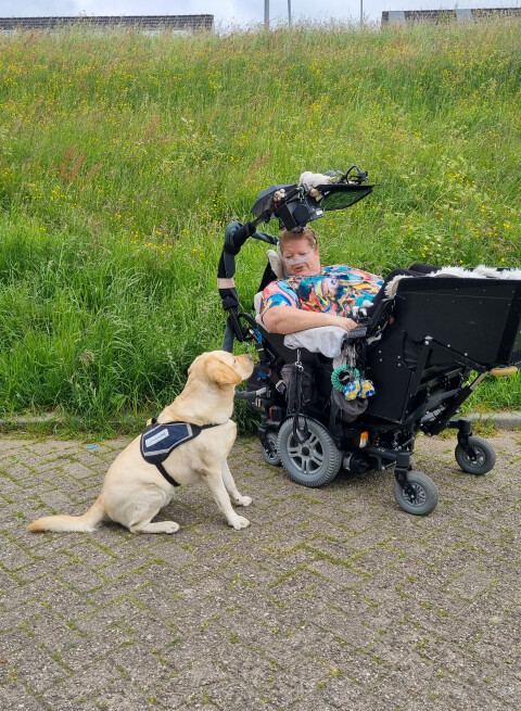 Corina Heijstek met Shane